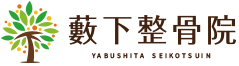 藪下整骨院